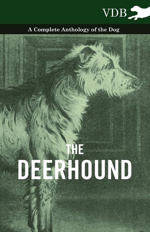 Produktbild: The Deerhound - A Complete Anthology of the Dog