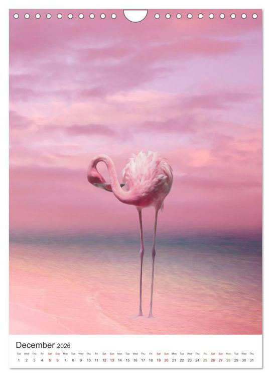 Produktbild: Flamingo and the sea (Wall Calendar 2026 DIN A4 portrait), CALVENDO 12 Month Wall Calendar