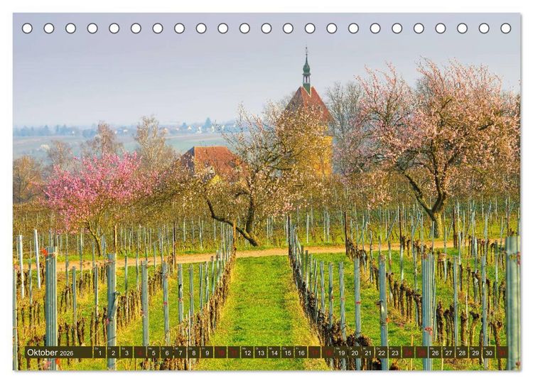 Produktbild: Mandelbl&uuml;tenzauber an der Deutschen Weinstra&szlig;e (Tischkalender 2026 DIN A5 quer), CALVENDO Monatskalender