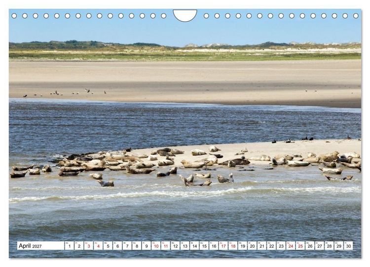 Produktbild: Borkum - Momente einer Reise (Wandkalender 2027 DIN A4 quer), CALVENDO Monatskalender