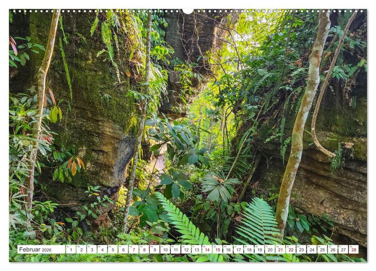 Produktbild: Gunung Leuser Nationalpark Sumatra (Wandkalender 2026 DIN A2 quer), CALVENDO Monatskalender