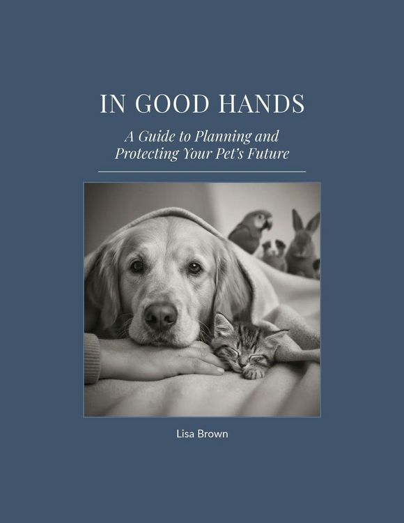 Produktbild: In Good Hands