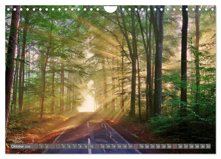 Produktbild: Zauberhafte Schwalm (Wandkalender 2026 DIN A4 quer), CALVENDO Monatskalender
