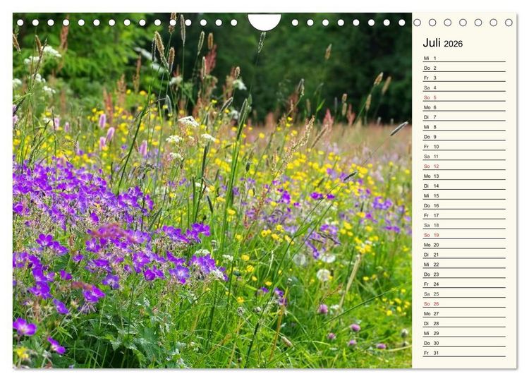 Produktbild: Der Harz - Sagenumwoben und Wildromantisch (Wandkalender 2026 DIN A4 quer), CALVENDO Monatskalender