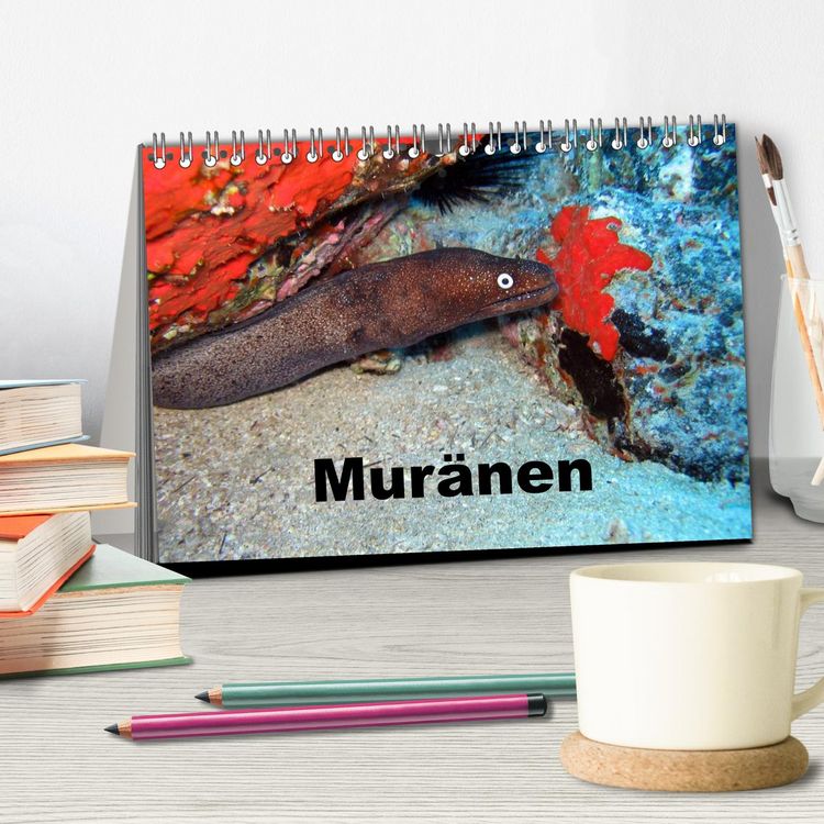 Produktbild: Mur&auml;nen (Tischkalender 2026 DIN A5 quer), CALVENDO Monatskalender