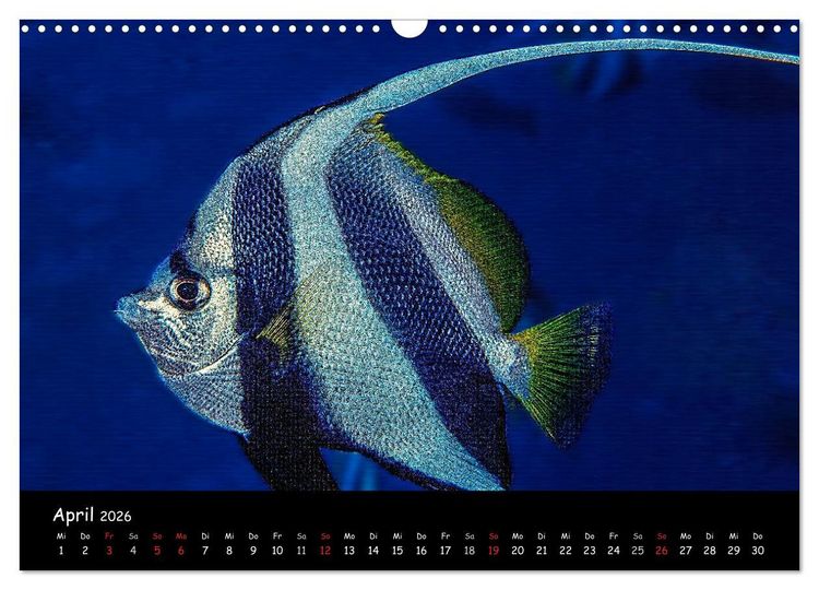 Produktbild: Die Welt unter Wasser (Wandkalender 2026 DIN A3 quer), CALVENDO Monatskalender