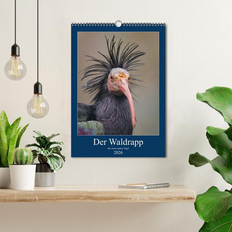 Produktbild: Der Waldrapp - Der etwas andere Vogel (Wandkalender 2026 DIN A3 hoch), CALVENDO Monatskalender