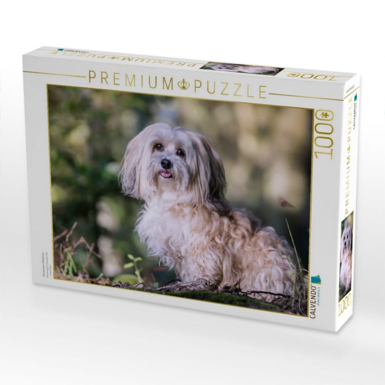 Produktbild: CALVENDO Puzzle Havaneser-M&auml;dchen | 1000 Teile Lege-Gr&ouml;&szlig;e 64x48cm Foto-Puzzle f&uuml;r gl&uuml;ckliche Stunden