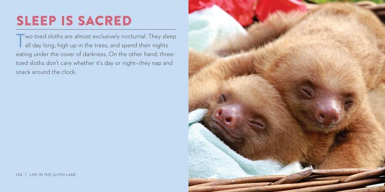 Produktbild: Life in the Sloth Lane