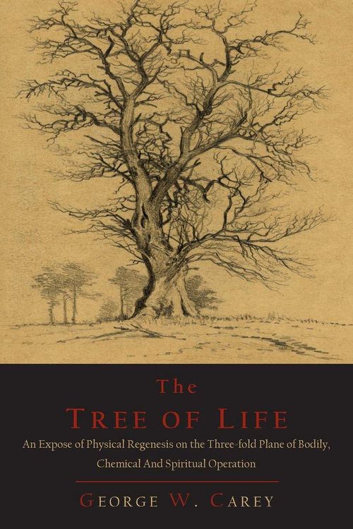 Produktbild: The Tree of Life