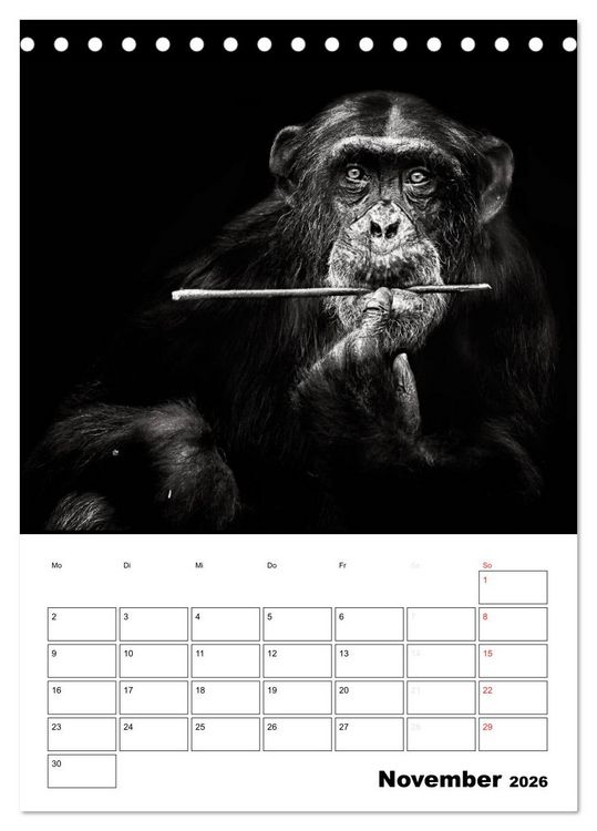 Produktbild: Charakterk&ouml;pfe aus der Welt der Tiere (Tischkalender 2026 DIN A5 hoch), CALVENDO Monatskalender