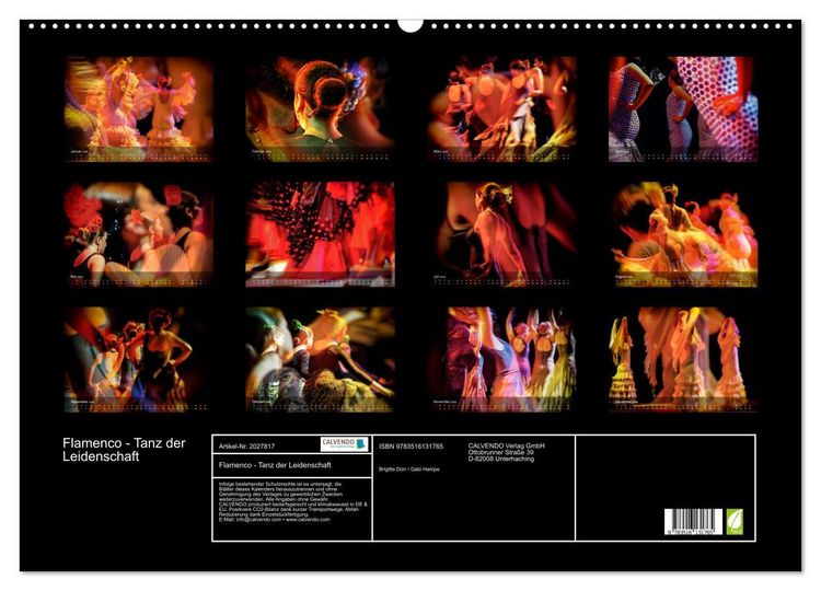 Produktbild: Flamenco - Tanz der Leidenschaft (Wandkalender 2026 DIN A2 quer), CALVENDO Monatskalender