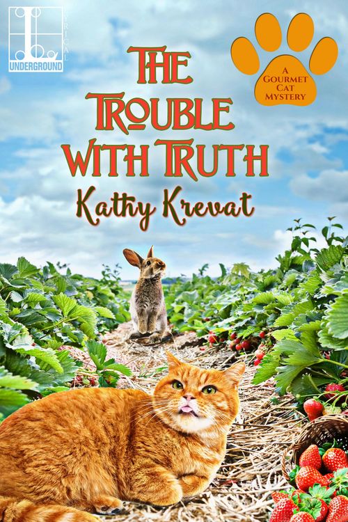 Produktbild: The Trouble with Truth