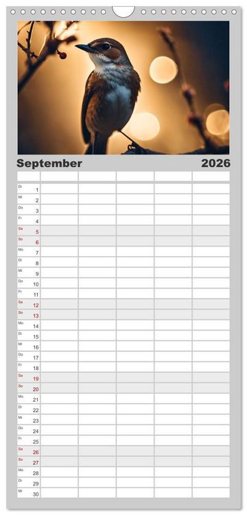 Produktbild: Familienplaner 2026 - Heimische Tiere im Mondlicht mit 5 Spalten (Wandkalender, 21 x 45 cm) CALVENDO