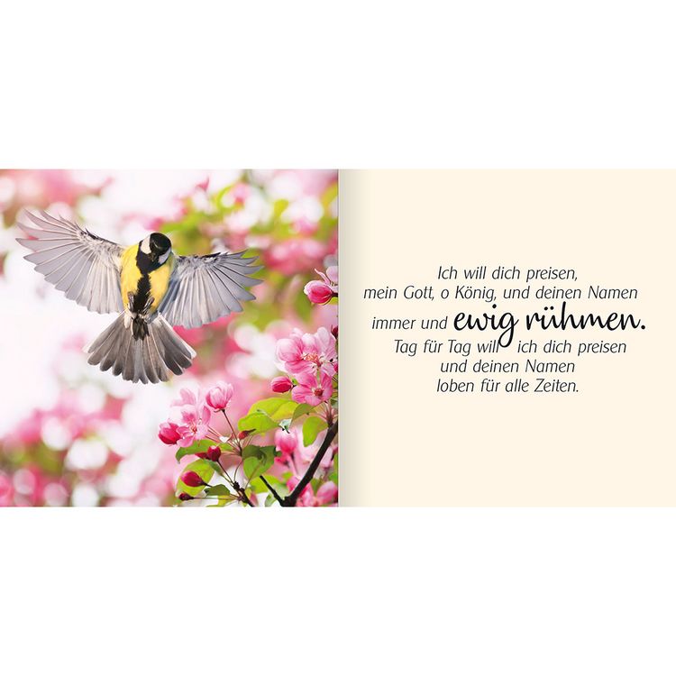 Produktbild: Ich schenke dir Psalm 145
