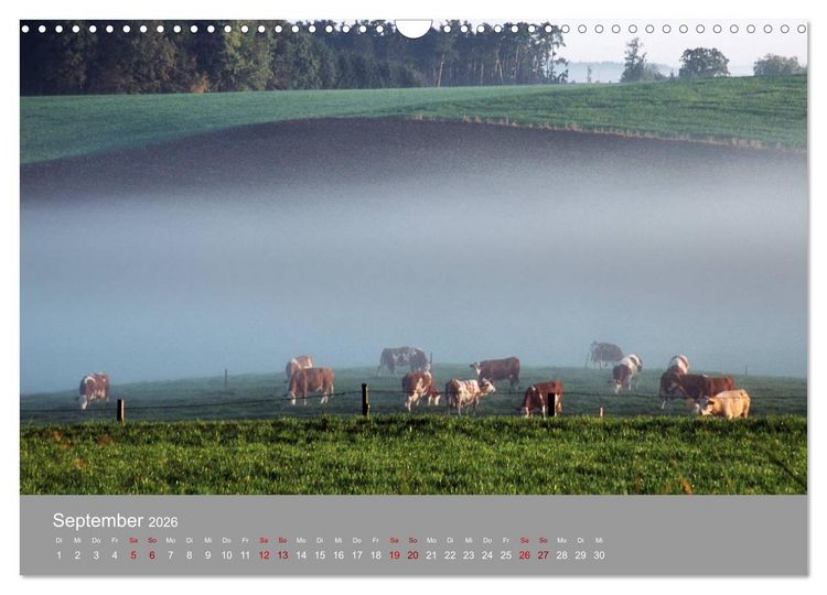 Produktbild: Hallertau (Wandkalender 2026 DIN A3 quer), CALVENDO Monatskalender