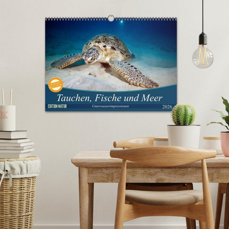 Produktbild: Tauchen, Fische und Meer (Wandkalender 2026 DIN A3 quer), CALVENDO Monatskalender