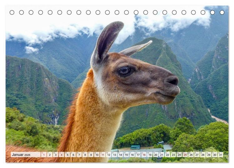 Produktbild: Faszination Peru &ndash; Natur und Kultur (Tischkalender 2026 DIN A5 quer), CALVENDO Monatskalender