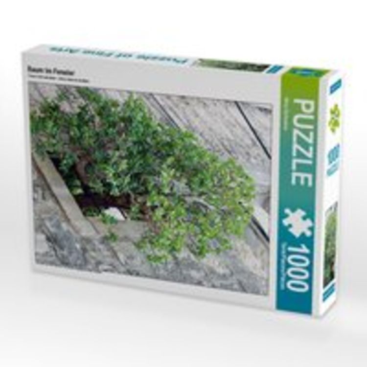 Produktbild: CALVENDO Puzzle Baum im Fenster 1000 Teile Lege-Gr&ouml;&szlig;e 48 x 64 cm Foto-Puzzle Bild von Nina Schwarze