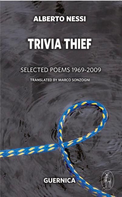 Produktbild: Trivia Thief