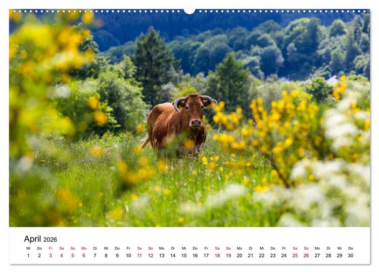 Produktbild: Westfeld-Ohlenbach im Wechsel der Jahreszeiten (hochwertiger Premium Wandkalender 2026 DIN A2 quer), Kunstdruck in Hochglanz
