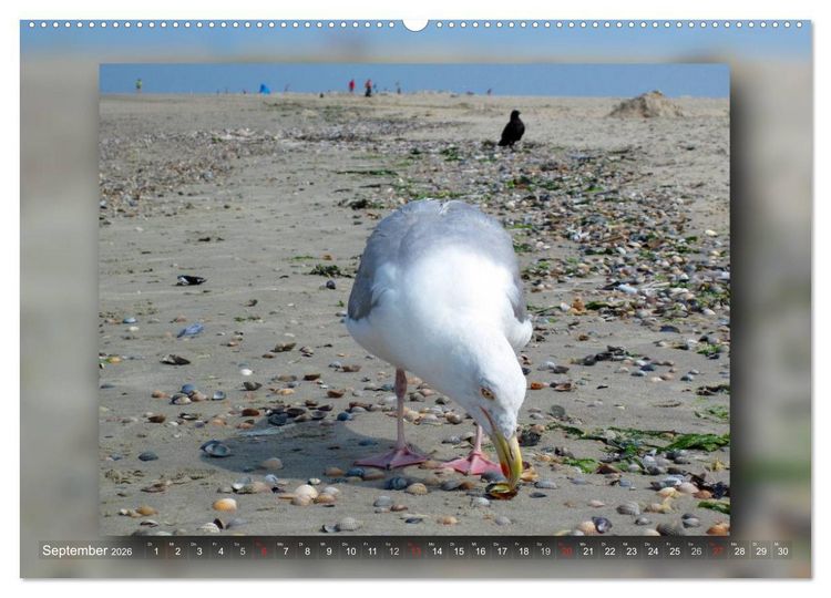 Produktbild: Baltrum - Ein Tag am Strand (hochwertiger Premium Wandkalender 2026 DIN A2 quer), Kunstdruck in Hochglanz