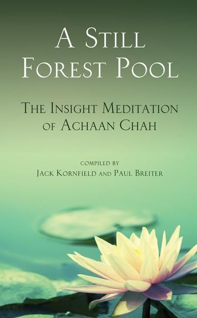 Produktbild: A Still Forest Pool