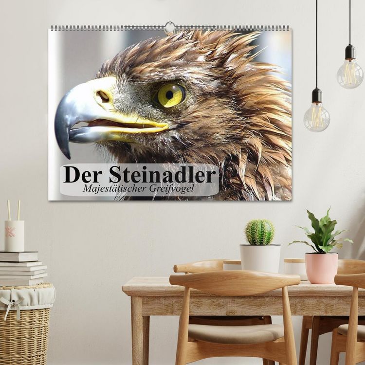 Produktbild: Der Steinadler. Majest&auml;tischer Greifvogel (Wandkalender 2026 DIN A2 quer), CALVENDO Monatskalender