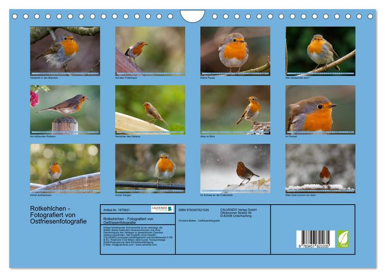 Produktbild: Rotkehlchen - Fotografiert von Ostfriesenfotografie (Wandkalender 2026 DIN A4 quer), CALVENDO Monatskalender