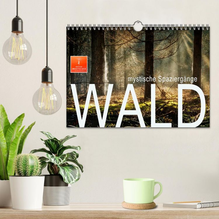 Produktbild: Wald - mystische Spazierg&auml;nge (Wandkalender 2026 DIN A4 quer), CALVENDO Monatskalender
