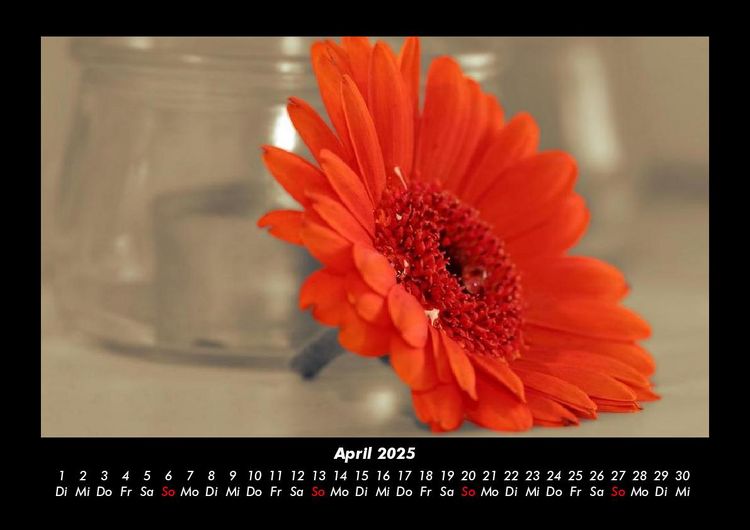Produktbild: Blumentr&auml;ume 2025 Fotokalender DIN A3
