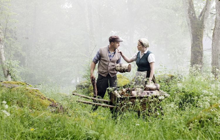 Produktbild: Nils Holgerssons wunderbare Reise - Die vierteilige Miniserie (Fernsehjuwelen) [3 DVDs]