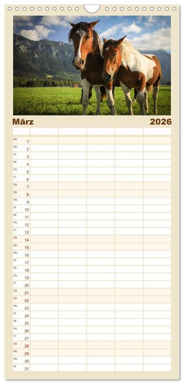 Produktbild: Familienplaner 2026 - Ostallg&auml;u - Zwischen Aggenstein und Forggensee mit 5 Spalten (Wandkalender, 21 x 45 cm) CALVENDO