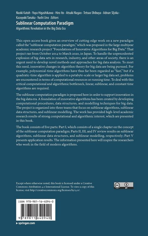 Produktbild: Sublinear Computation Paradigm