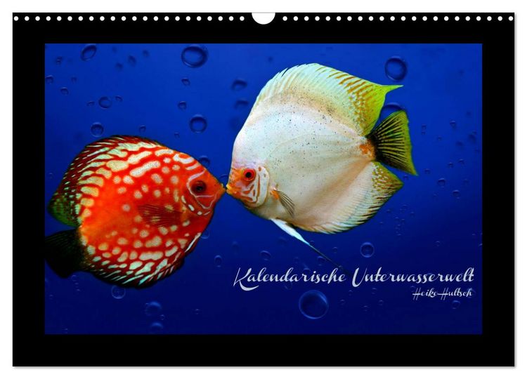Produktbild: Kalendarische Unterwasserwelt (Wandkalender 2026 DIN A3 quer), CALVENDO Monatskalender