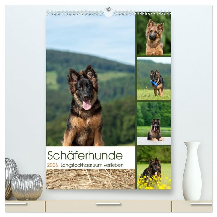 Produktbild: Sch&auml;ferhunde Langstockhaar zum verlieben (hochwertiger Premium Wandkalender 2026 DIN A2 hoch), Kunstdruck in Hochglanz