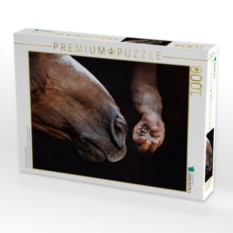 Produktbild: CALVENDO Puzzle Pferdemaul k&uuml;sst Vogelbaby | 1000 Teile Lege-Gr&ouml;&szlig;e 64x48cm Foto-Puzzle f&uuml;r gl&uuml;ckliche Stunden