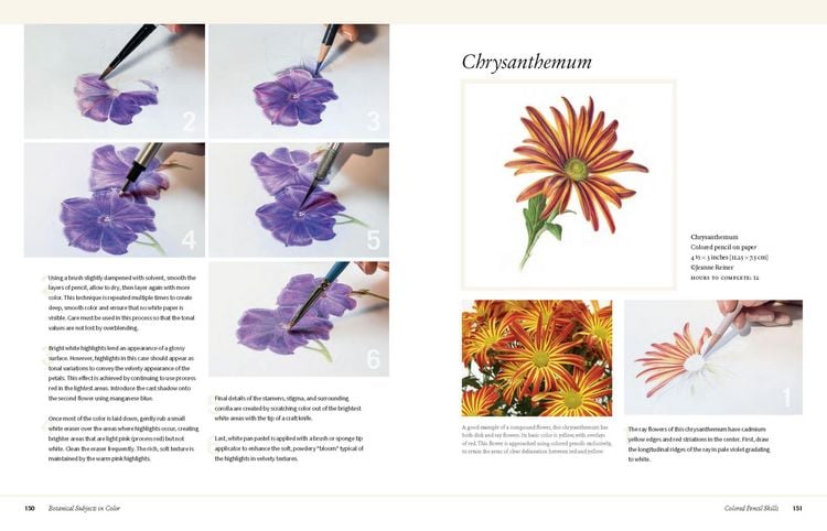 Produktbild: Botanical Art Techniques