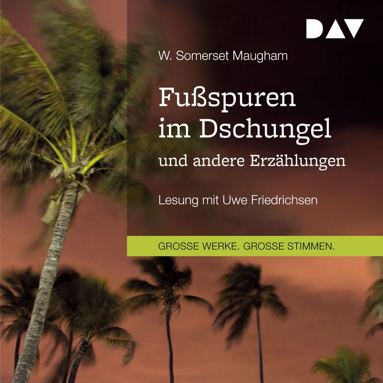 Produktbild: Fu&szlig;spuren im Dschungel und andere Erz&auml;hlungen