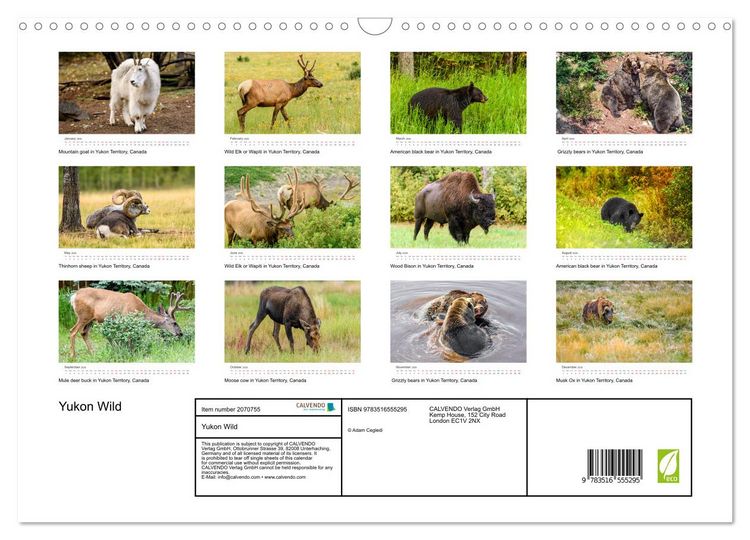 Produktbild: Yukon Wild (Wall Calendar 2026 DIN A3 landscape), CALVENDO 12 Month Wall Calendar