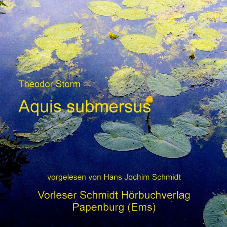 Produktbild: Aquis submersus
