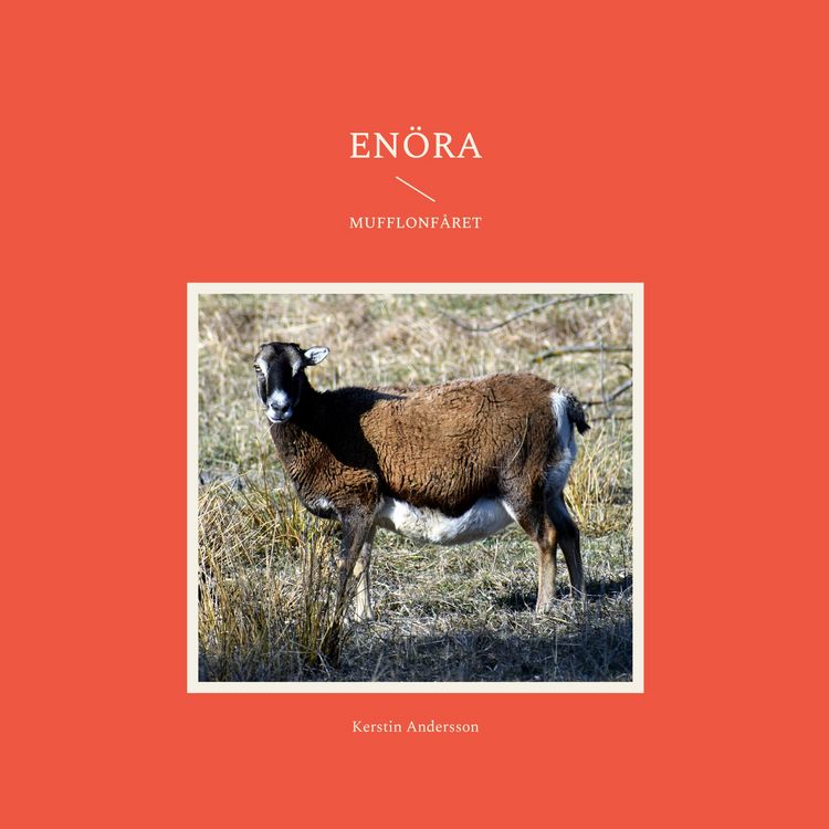 Produktbild: En&ouml;ra