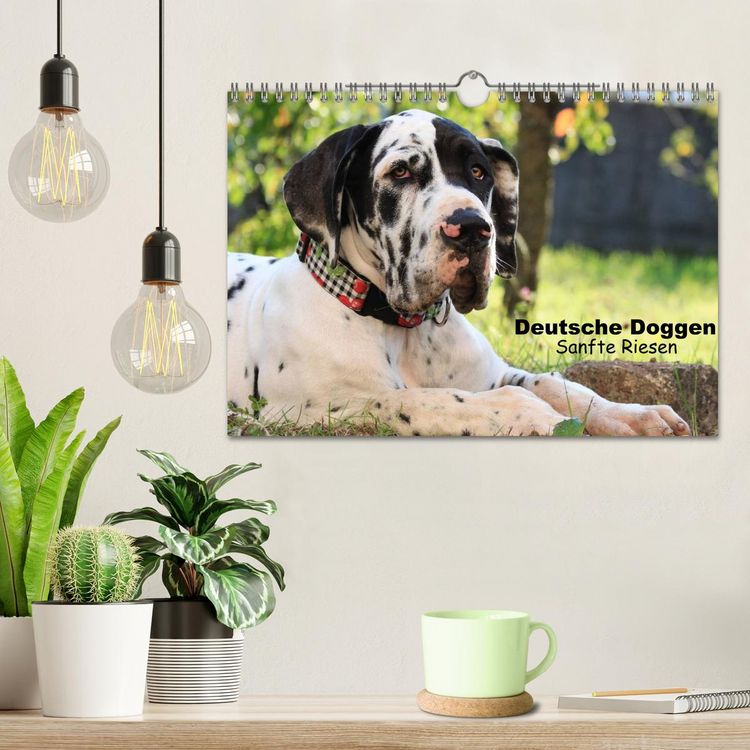 Produktbild: Deutsche Doggen - Sanfte Riesen (Wandkalender 2026 DIN A4 quer), CALVENDO Monatskalender