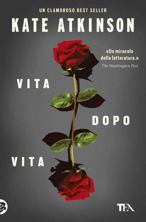 Produktbild: Vita dopo vita