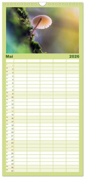 Produktbild: Familienplaner 2026 - Pilzmagie mit 5 Spalten (Wandkalender, 21 x 45 cm) CALVENDO