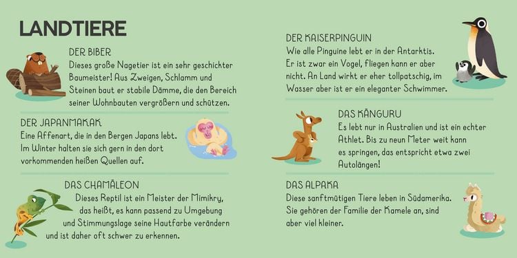 Produktbild: Die Welt. Meine Erste Puzzle Box