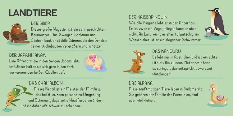 Produktbild: Die Welt. Meine Erste Puzzle Box