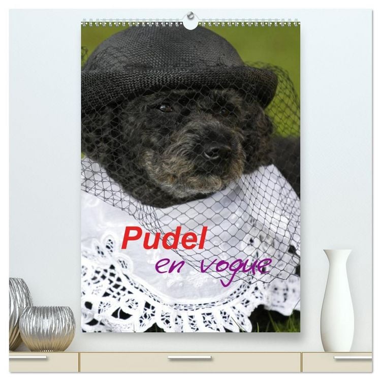 Produktbild: Pudel en vogue (hochwertiger Premium Wandkalender 2026 DIN A2 hoch), Kunstdruck in Hochglanz