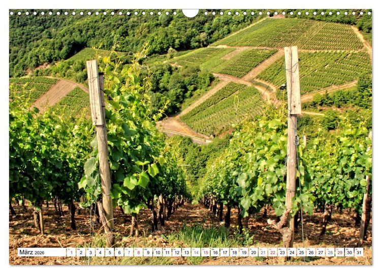 Produktbild: Sehenswertes Ahrtal - Von Altenahr bis Bad Neuenahr (Wandkalender 2026 DIN A3 quer), CALVENDO Monatskalender