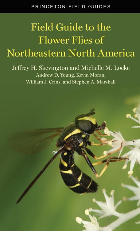 Produktbild: Field Guide to the Flower Flies of Northeastern North America